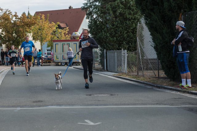 8_51668_Gremsdorf_20180901